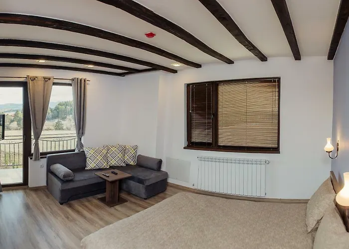 Lidia 3* تسيغوف تشارك